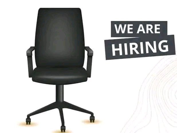 Junior Flight Dispatcher — Malawi Airlines Limited job poster