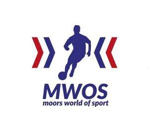 Franchise Business Development Manager — Mwos Malawi (Moors World Of Sport) job poster