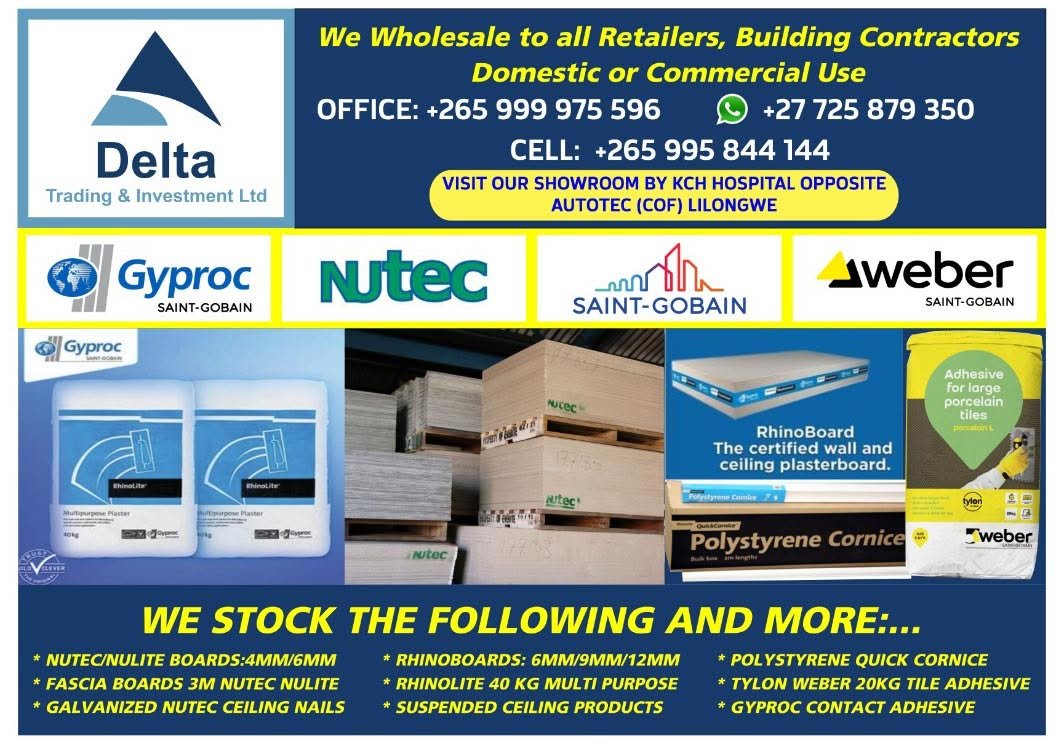 Salesperson at Delta Trading And Investment Ltd | Mvungi