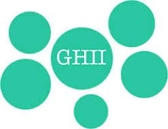 INFORMATICS INTERN — Global Health Informatics Institute (GHII) job poster