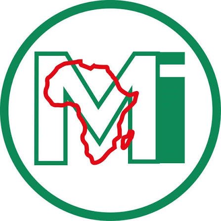 HUMAN RESOURCES MANAGER — Macroeconomic and Financial Management Institute of Eastern and Southern Africa (MEFMI) job poster
